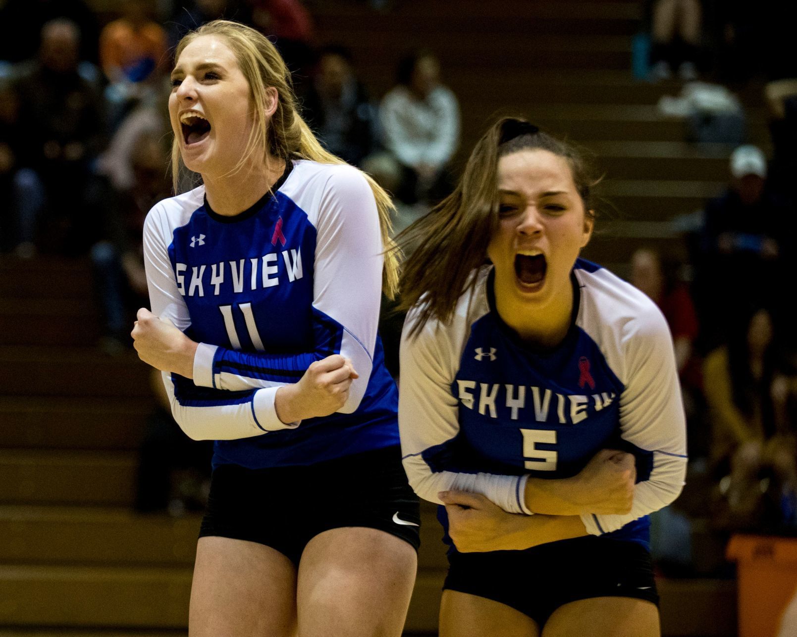 Senior vs. Skyview